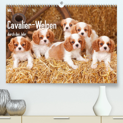 Mit Cavalier-Welpen durch das Jahr (Premium, hochwertiger DIN A2 Wandkalender 2023, Kunstdruck in Hochglanz) von Wegner,  Petra