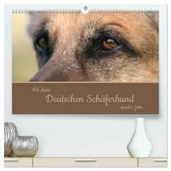 Mit dem Deutschen Schäferhund durch’s Jahr (hochwertiger Premium Wandkalender 2024 DIN A2 quer), Kunstdruck in Hochglanz von Steininger,  Claudia