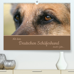 Mit dem Deutschen Schäferhund durch’s Jahr (Premium, hochwertiger DIN A2 Wandkalender 2023, Kunstdruck in Hochglanz) von Steininger,  Claudia