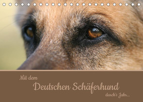 Mit dem Deutschen Schäferhund durch’s Jahr (Tischkalender 2023 DIN A5 quer) von Steininger,  Claudia
