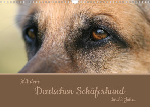 Mit dem Deutschen Schäferhund durch’s Jahr (Wandkalender 2022 DIN A3 quer) von Steininger,  Claudia
