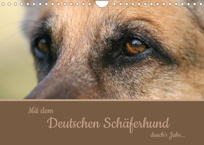 Mit dem Deutschen Schäferhund durch’s Jahr (Wandkalender 2023 DIN A4 quer) von Steininger,  Claudia