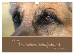 Mit dem Deutschen Schäferhund durch’s Jahr (Wandkalender 2024 DIN A4 quer), CALVENDO Monatskalender von Steininger,  Claudia