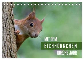 Mit dem Eichhörnchen durchs Jahr (Tischkalender 2024 DIN A5 quer), CALVENDO Monatskalender von Brackhan,  Margret