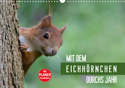 Mit dem Eichhörnchen durchs Jahr (Wandkalender 2023 DIN A3 quer) von Brackhan,  Margret