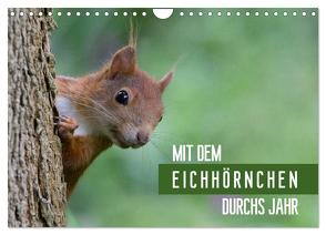 Mit dem Eichhörnchen durchs Jahr (Wandkalender 2024 DIN A4 quer), CALVENDO Monatskalender von Brackhan,  Margret