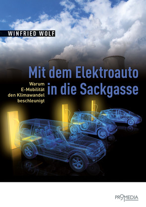 Mit dem Elektroauto in die Sackgasse von Wolf,  Winfried