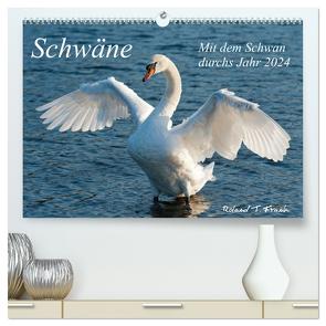 Mit dem Schwan durchs Jahr 2024 (hochwertiger Premium Wandkalender 2024 DIN A2 quer), Kunstdruck in Hochglanz von T. Frank,  Roland