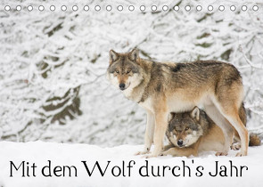 Mit dem Wolf durch’s Jahr (Tischkalender 2023 DIN A5 quer) von Martin,  Wilfried