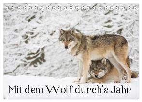 Mit dem Wolf durch’s Jahr (Tischkalender 2024 DIN A5 quer), CALVENDO Monatskalender von Martin,  Wilfried