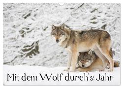 Mit dem Wolf durch’s Jahr (Wandkalender 2024 DIN A3 quer), CALVENDO Monatskalender von Martin,  Wilfried