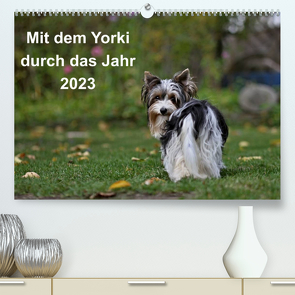 Mit dem Yorki durch das Jahr 2023 (Premium, hochwertiger DIN A2 Wandkalender 2023, Kunstdruck in Hochglanz) von Bauer,  Friedhelm