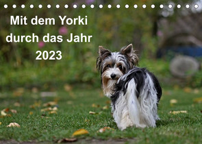 Mit dem Yorki durch das Jahr 2023 (Tischkalender 2023 DIN A5 quer) von Bauer,  Friedhelm