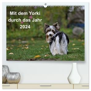 Mit dem Yorki durch das Jahr 2024 (hochwertiger Premium Wandkalender 2024 DIN A2 quer), Kunstdruck in Hochglanz von Bauer,  Friedhelm