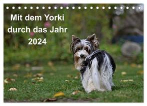 Mit dem Yorki durch das Jahr 2024 (Tischkalender 2024 DIN A5 quer), CALVENDO Monatskalender von Bauer,  Friedhelm