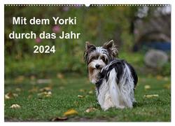 Mit dem Yorki durch das Jahr 2024 (Wandkalender 2024 DIN A2 quer), CALVENDO Monatskalender von Bauer,  Friedhelm
