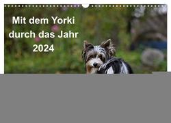 Mit dem Yorki durch das Jahr 2024 (Wandkalender 2024 DIN A3 quer), CALVENDO Monatskalender von Bauer,  Friedhelm