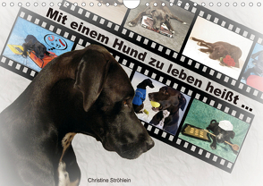 Mit einem Hund zu leben heißt … (Wandkalender 2020 DIN A4 quer) von Ströhlein,  Christine