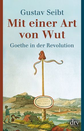 Mit einer Art von Wut von Seibt,  Gustav