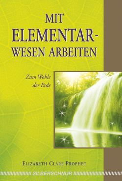 Mit Elementarwesen arbeiten von Prophet,  Elizabeth Clare