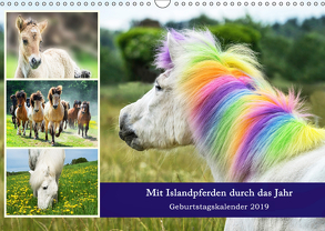 Mit Islandpferden durch das Jahr Geburtstagskalender 2019 (Wandkalender 2019 DIN A3 quer) von Beuck,  Angelika