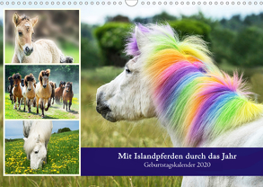 Mit Islandpferden durch das Jahr Geburtstagskalender 2020 (Wandkalender 2020 DIN A3 quer) von Beuck,  Angelika
