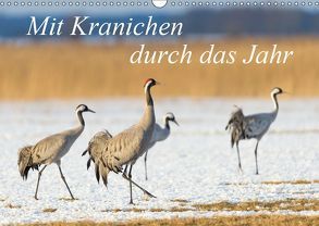 Mit Kranichen durch das Jahr (Wandkalender 2019 DIN A3 quer) von Smith,  Sidney