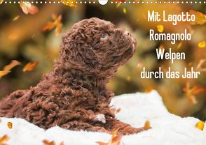 Mit Lagotto Romagnolo Welpen durch das Jahr (Wandkalender 2020 DIN A3 quer) von Starick,  Sigrid