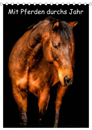 Mit Pferden durchs Jahr / Planer (Tischkalender 2023 DIN A5 hoch) von Obermüller Fotografie,  Yvonne