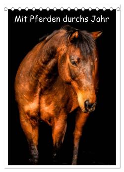 Mit Pferden durchs Jahr / Planer (Tischkalender 2024 DIN A5 hoch), CALVENDO Monatskalender von Obermüller Fotografie,  Yvonne