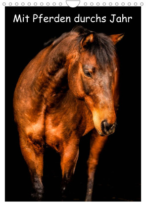 Mit Pferden durchs Jahr / Planer (Wandkalender 2023 DIN A4 hoch) von Obermüller Fotografie,  Yvonne