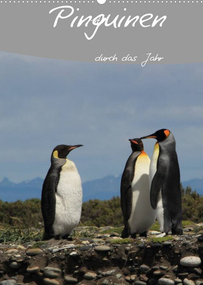 Mit Pinguinen durch das Jahr (Wandkalender 2023 DIN A2 hoch) von Göb,  Clemens, Köhler,  Ute