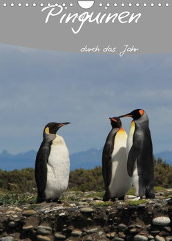 Mit Pinguinen durch das Jahr (Wandkalender 2023 DIN A4 hoch) von Göb,  Clemens, Köhler,  Ute