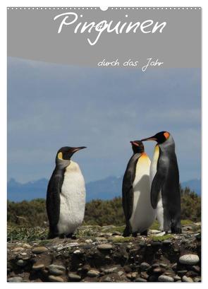 Mit Pinguinen durch das Jahr (Wandkalender 2024 DIN A2 hoch), CALVENDO Monatskalender von Köhler,  Clemens Göb,  Ute