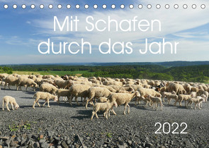 Mit Schafen durch das Jahr (Tischkalender 2022 DIN A5 quer) von CoKeDi-Photographie, Kelle-Dingel,  Cordula