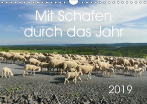 Mit Schafen durch das Jahr (Wandkalender 2019 DIN A4 quer) von CoKeDi-Photographie, Kelle-Dingel,  Cordula
