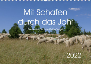 Mit Schafen durch das Jahr (Wandkalender 2022 DIN A2 quer) von CoKeDi-Photographie, Kelle-Dingel,  Cordula