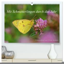 Mit Schmetterlingen durch das Jahr (hochwertiger Premium Wandkalender 2024 DIN A2 quer), Kunstdruck in Hochglanz von Schäfer,  Ulrike