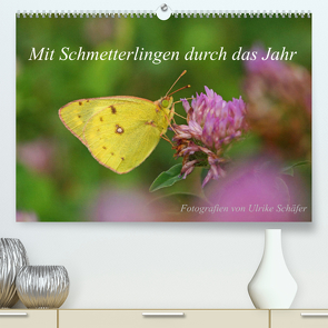Mit Schmetterlingen durch das Jahr (Premium, hochwertiger DIN A2 Wandkalender 2023, Kunstdruck in Hochglanz) von Schäfer,  Ulrike