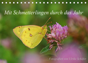 Mit Schmetterlingen durch das Jahr (Tischkalender 2023 DIN A5 quer) von Schäfer,  Ulrike