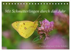 Mit Schmetterlingen durch das Jahr (Tischkalender 2024 DIN A5 quer), CALVENDO Monatskalender von Schäfer,  Ulrike
