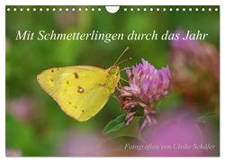 Mit Schmetterlingen durch das Jahr (Wandkalender 2024 DIN A4 quer), CALVENDO Monatskalender von Schäfer,  Ulrike