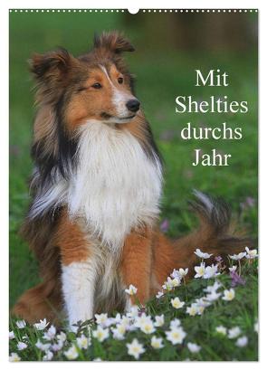 Mit Shelties durchs Jahr (Wandkalender 2024 DIN A2 hoch), CALVENDO Monatskalender von Reiß-Seibert,  Marion