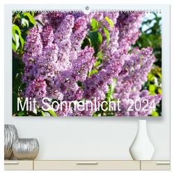 Mit Sonnenlicht (hochwertiger Premium Wandkalender 2024 DIN A2 quer), Kunstdruck in Hochglanz von Schmidt,  Sergej