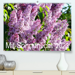 Mit Sonnenlicht (Premium, hochwertiger DIN A2 Wandkalender 2023, Kunstdruck in Hochglanz) von Schmidt,  Sergej