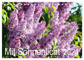 Mit Sonnenlicht (Tischkalender 2024 DIN A5 quer), CALVENDO Monatskalender von Schmidt,  Sergej