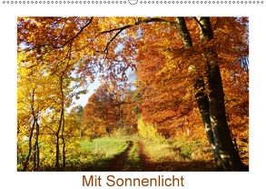 Mit Sonnenlicht (Wandkalender 2018 DIN A2 quer) von Schmidt,  Sergej