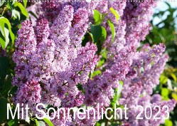 Mit Sonnenlicht (Wandkalender 2023 DIN A2 quer) von Schmidt,  Sergej