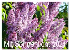 Mit Sonnenlicht (Wandkalender 2024 DIN A4 quer), CALVENDO Monatskalender von Schmidt,  Sergej