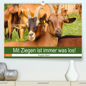 Mit Ziegen ist immer was los! (Premium, hochwertiger DIN A2 Wandkalender 2022, Kunstdruck in Hochglanz) von Merk,  Angela